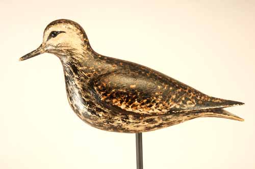 Bowman Golden Plover Shorebird Decoy